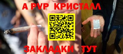 a pvp Кингисепп