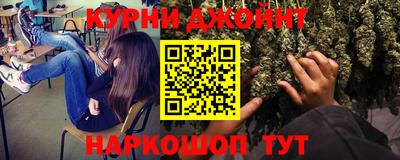 шишки Кимры