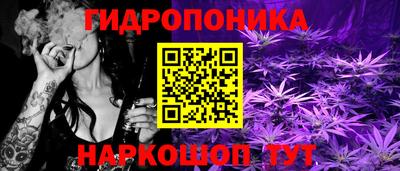 a pvp Кингисепп