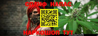 a pvp Кингисепп