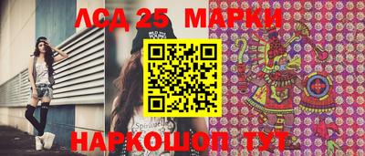 шишки Кимры