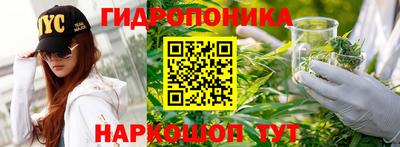 шишки Кимры