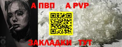 шишки Кимры